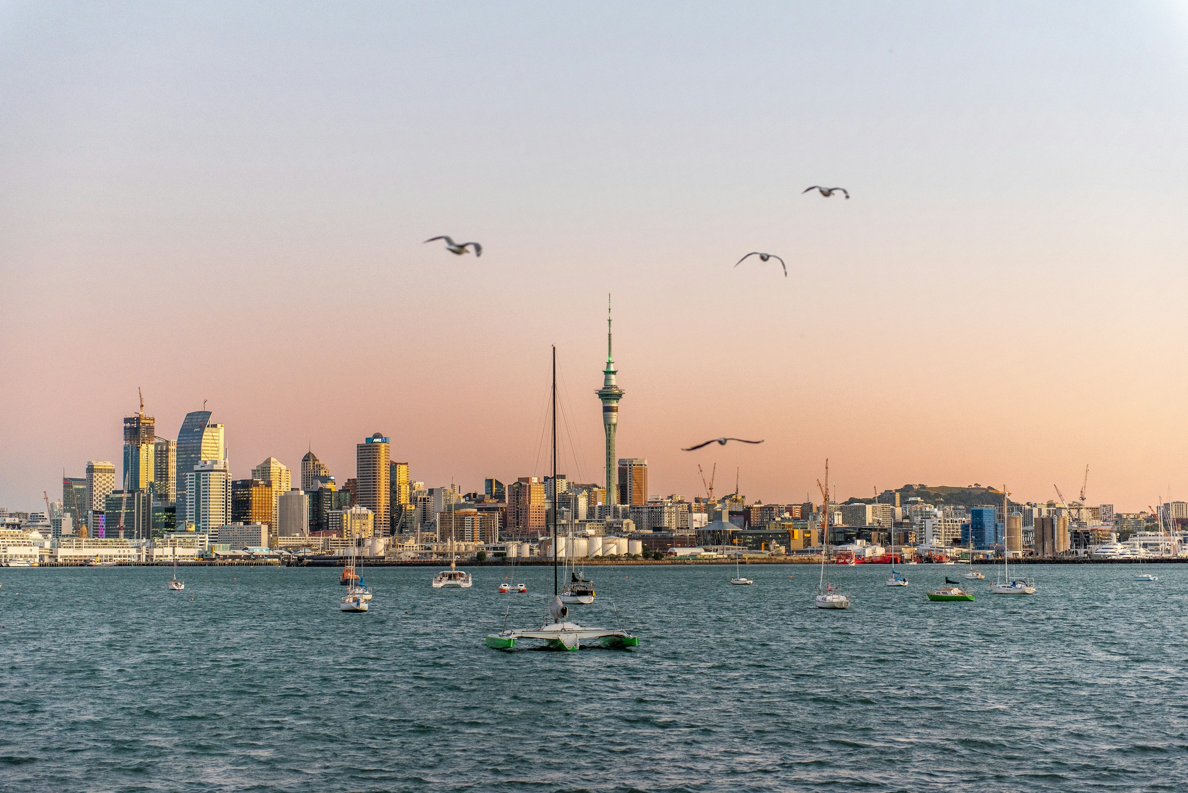 Nieuwe episode Studio FC De Avonturiers: over het perfecte weekend van Auckland FC