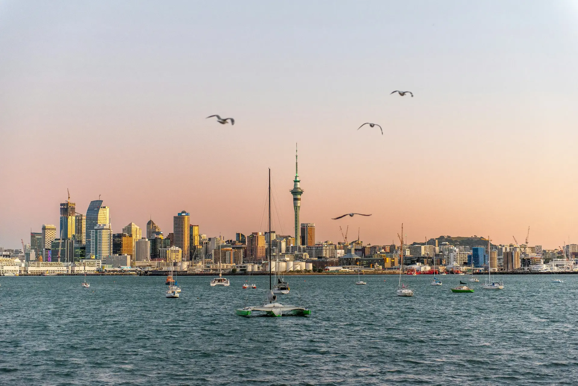 Nieuwe episode Studio FC De Avonturiers: over het perfecte weekend van Auckland FC