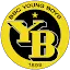 BSC Young Boys