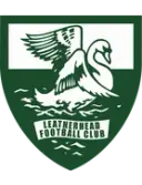 Leatherhead FC
