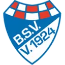 Brinkumer SV