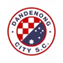 Dandenong City SC