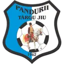 Pandurii Târgu Jiu