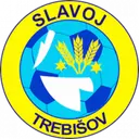 Slavoj Trebisov
