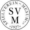 SV Mesum