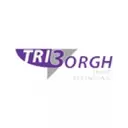 SV Triborgh