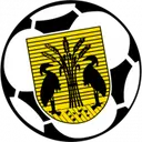 VV Reiger Boys