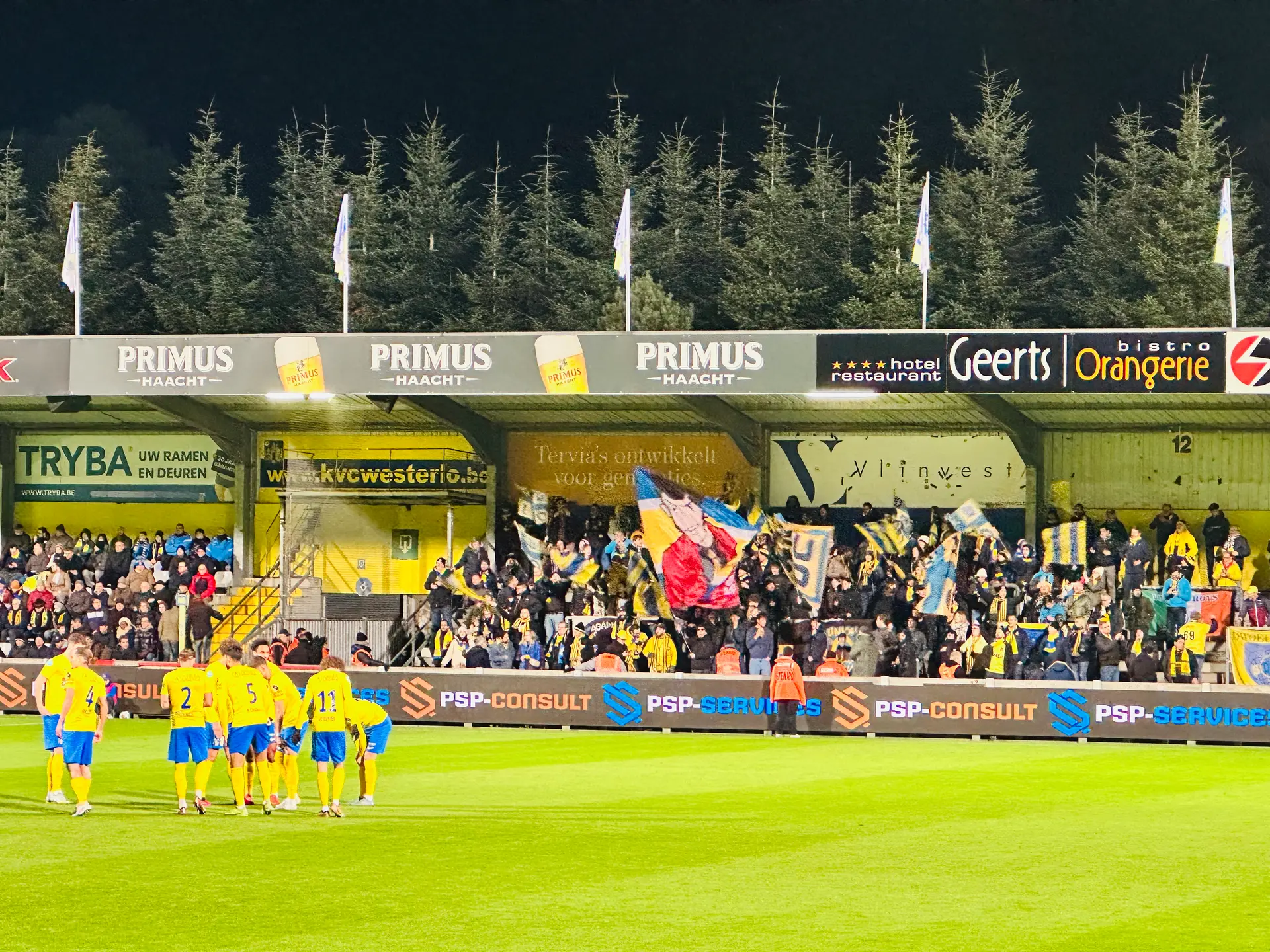 KVC Westerlo stadion
