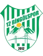 12 Bingöl Spor logo