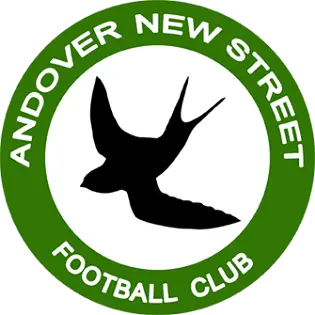 Andover New Street FC logo