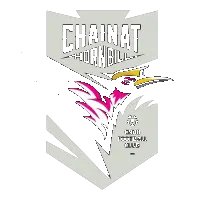 Chainat Hornbill FC logo
