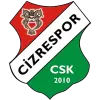 Cizre Spor logo