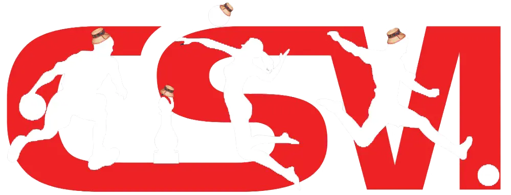 CSM Sighetu Marmatiei logo