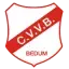 CVVB logo