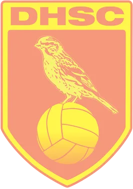 DHSC logo