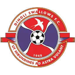 Dingli Swallows FC