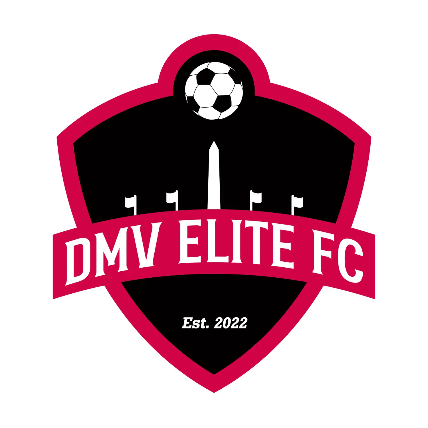 DMV Elite FC logo