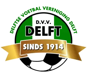 DVV Delft logo