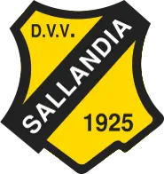 DVV Sallandia logo