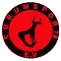 FC Corumspor logo