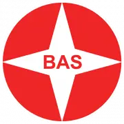 BAS Biddinghuizen logo