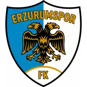 Büyüksehir Belediye Erzurumspor logo