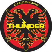 Dandenong Thunder SC logo