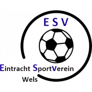 ESV Intersport Wels logo