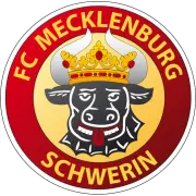 FC Mecklenburg Schwerin logo