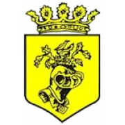 HVV Helmond logo
