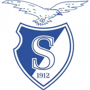 IJVV Stormvogels logo