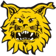 Ilves Tampere