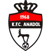 KFC Anadol logo