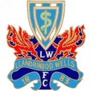 Llandrindod Wells AFC