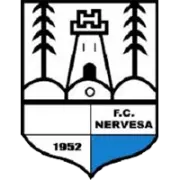 Nervesa logo