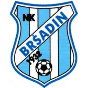 NK Brsadin