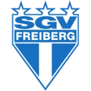 SGV Freiberg logo