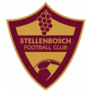 Stellenbosch FC logo
