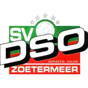 SV DSO logo