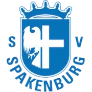 SV Spakenburg logo