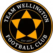 Team Wellington logo