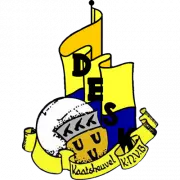 VV DES logo