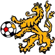 VV Doetinchem logo