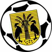 VV Reiger Boys logo