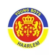 VV Young Boys logo