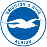 Brighton & Hove Albion logo