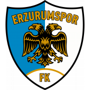 Büyüksehir Belediye Erzurumspor
