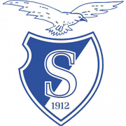 IJVV Stormvogels