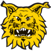 Ilves Tampere