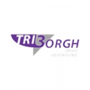 SV Triborgh